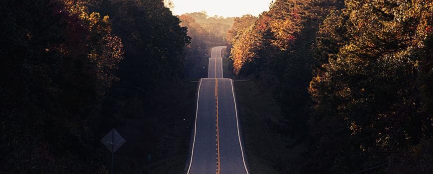 roadmap image