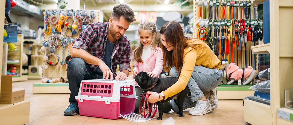 success-story-pet-retailer